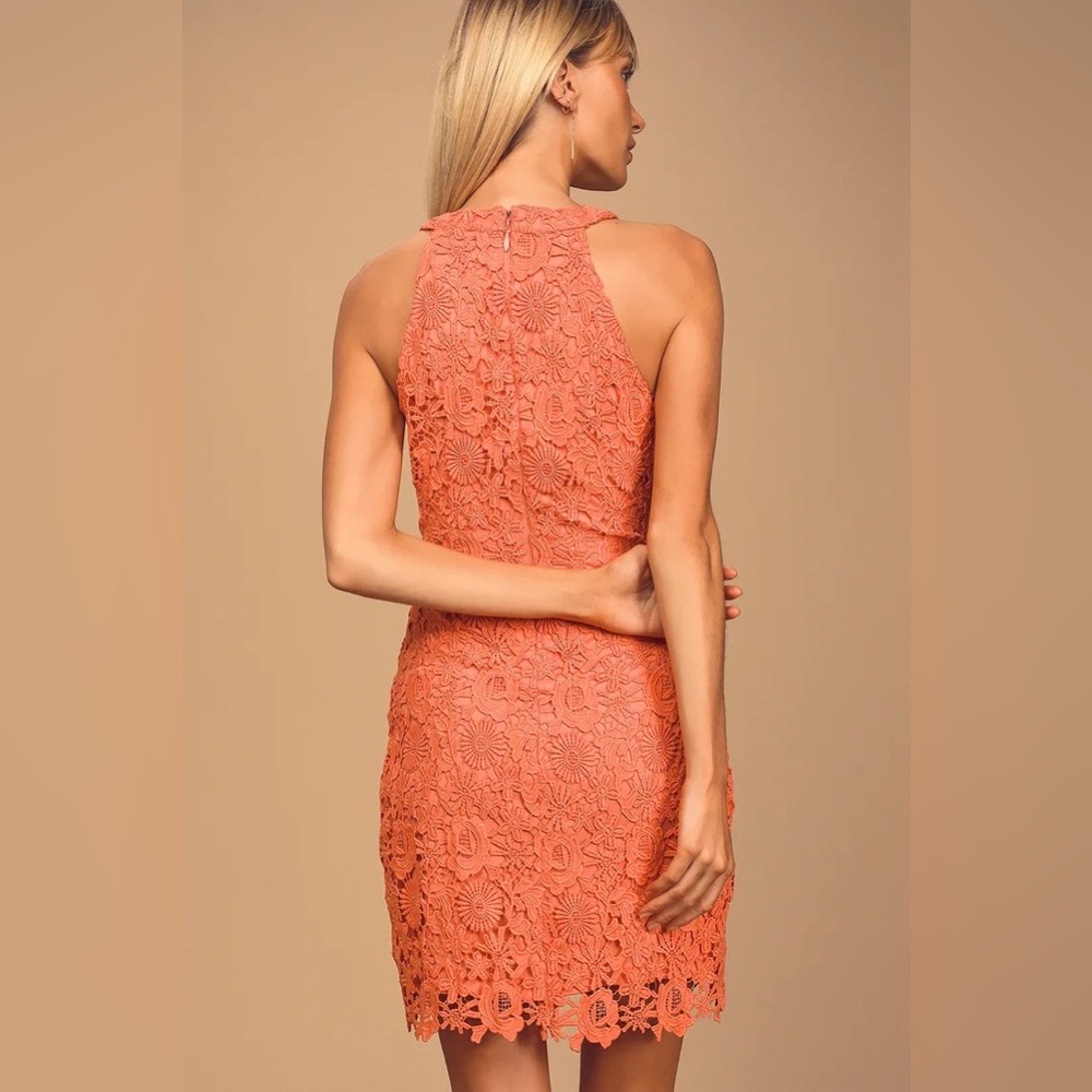NWT Lulus Coral Orange Lace Halter Mini Dress - Picture 13 of 14